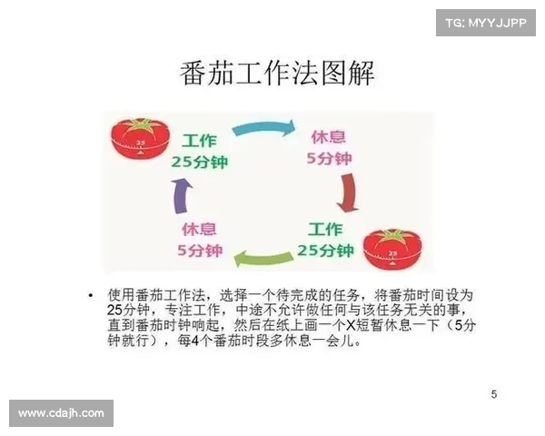 一周交几次作业最合适?从学习效率与时间管理角度分析(一个星期作业) 一周交几次作业最合适?从学习效率与时间管理角度分析(一个星期作业)